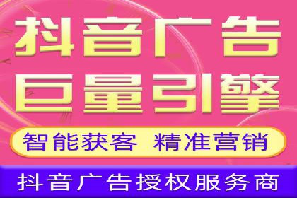 行业标杆的SEM竞价营销案例研究